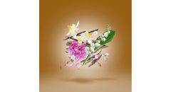 Alternative view of عطر زرجوف عود استار الکساندریا III