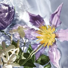 Alternative view of عطر ادکلن گرلن اکوا الیگوریا فلورا سالوگیا