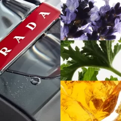 Alternative view of عطر ادکلن پرادا لونا روزا کربن