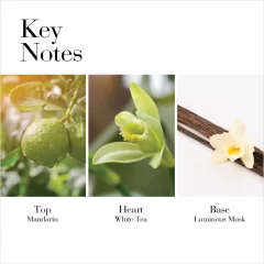 Alternative view of عطر ادکلن الیزابت آردن وایت تی ماندارین بلوسوم