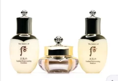 خرید عمده هوو- THE WHOO - د هیستوری آف هوو