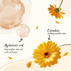 Alternative view of پرایمر رنگی پرفکت کتکین