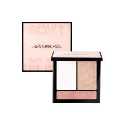 پالت هایلایتر صورت آرتیست یونگ سایم مول