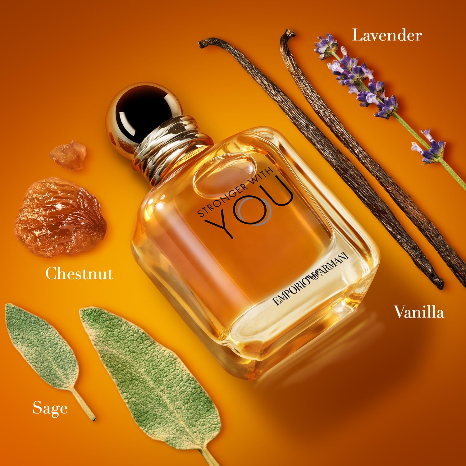 عطر ادکلن استرانگر ویت یو مردانه ادو پرفیوم جورجیو آرمانی - تصویر 2